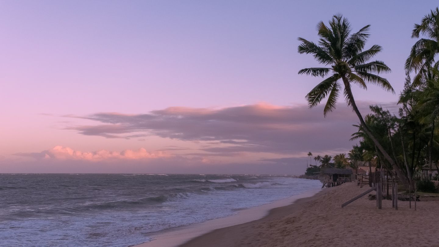 O que fazer em Recife_ conheça a Praia de Maracaípe